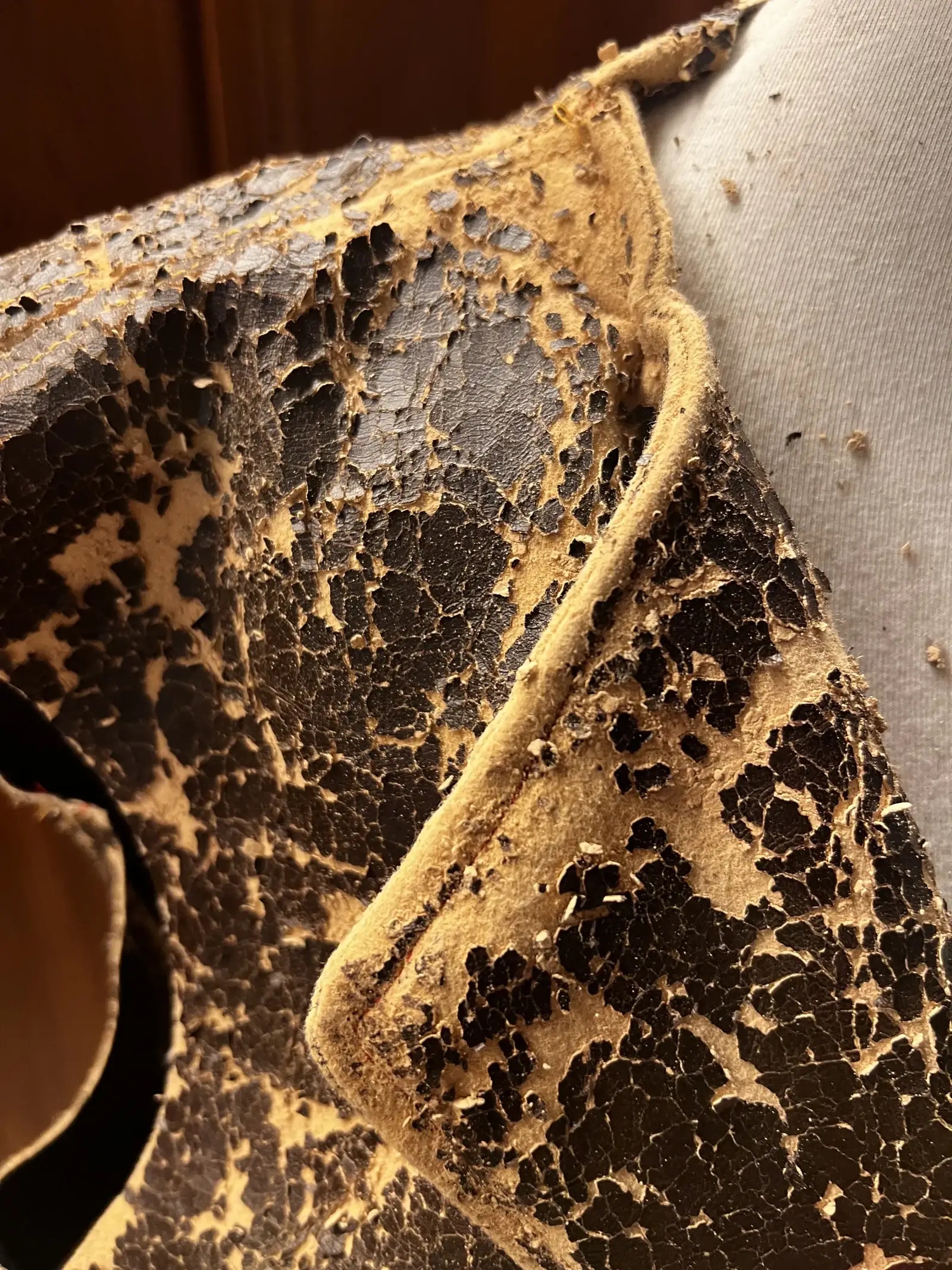 Fusion, process, photograph 12