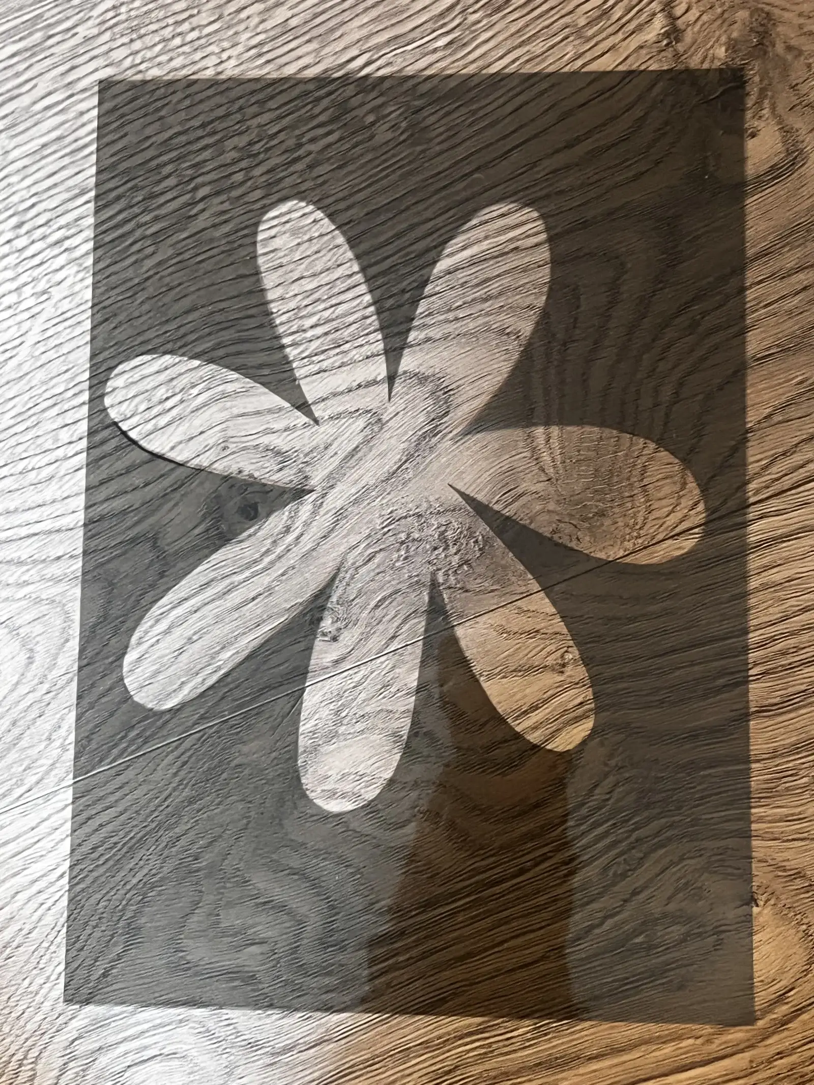 The After Trace, process, photograph 91